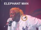 elephant man